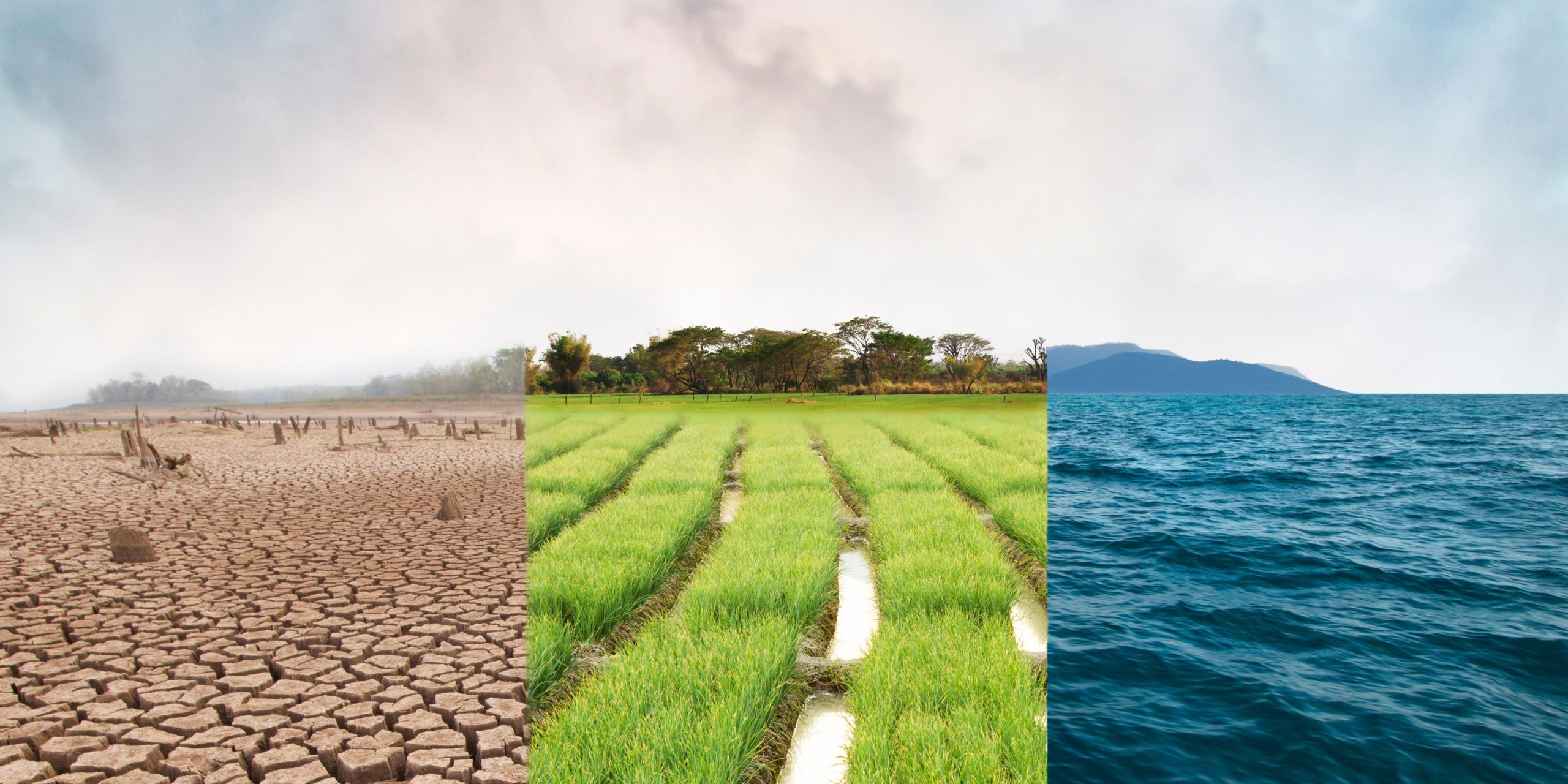 Plataforma e-licencie revoluciona a gestão ambiental digital em prefeituras